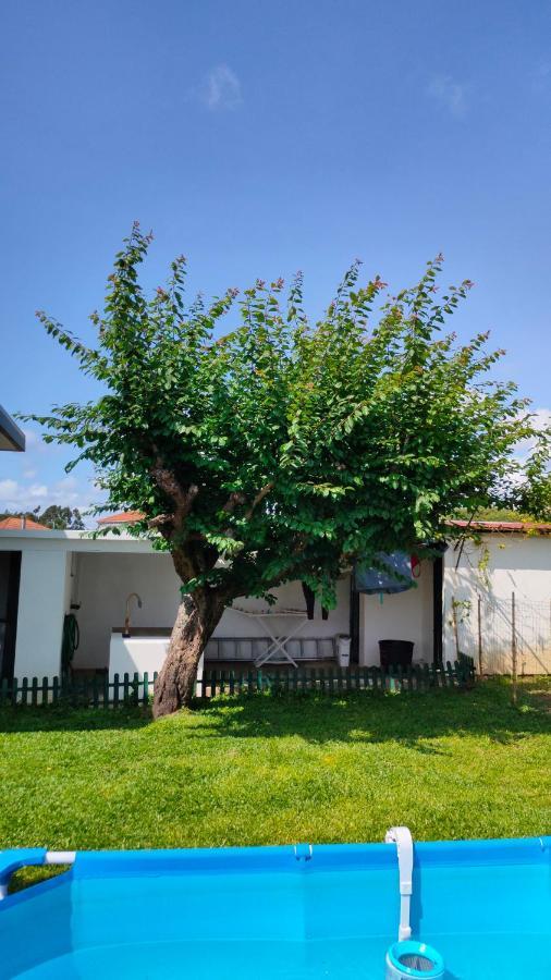 Вилла House With Pool And Garden In Esmoriz Near Porto Экстерьер фото